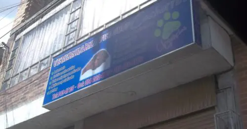 VETERINARIA PET SHOP CALLE 2 BOGOTÁ VETERINARIA PET SHOP CALLE 2 BOGOTÁ